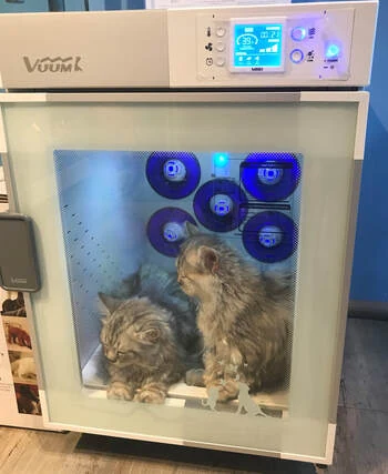 vuum 1